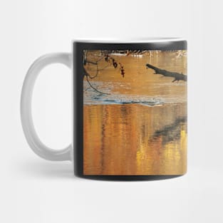 Golden Autumn Reflection in the Water Mug